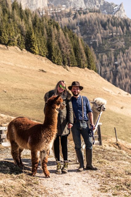 Immagine: Dolomites Farm